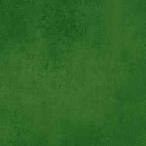 Линолеум FORBO Sarlon Resin 433758-432758 dark green фото ##numphoto## | FLOORDEALER